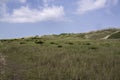 Large Sandunes on the Outer Banks