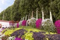 Large saxophones with flowers planted in them and a waterfall in botanical Dubai Miracle Garden with different floral fairy-tale