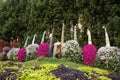 Large saxophones with flowers planted in them and a waterfall in botanical Dubai Miracle Garden with different floral fairy-tale