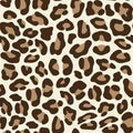 Large scale seamless leopard skin pattern with bold brown spots on a cream background Royalty Free Stock Photo
