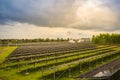 Large scale solar farm with the satellite dishes under dramatic Royalty Free Stock Photo