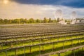 Large scale solar farm with the satellite dishes under dramatic Royalty Free Stock Photo