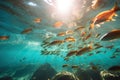 School of fish swimming in circles in ocean with sunlight