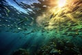 School of fish swimming in circles in ocean with sunlight