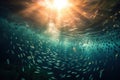 School of fish swimming in circles in ocean with sunlight