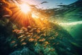 School of fish swimming in circles in ocean with sunlight