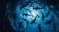 Large school of scalloped hammerhead sharks swimming. Royalty Free Stock Photo