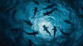 Large school of scalloped hammerhead sharks swimming. Royalty Free Stock Photo