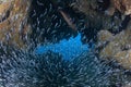 Underwater Cave and Schooling Fish Royalty Free Stock Photo