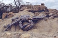 Large sculpture of crab on the vicinity of Primorsky Aquarium