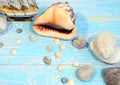 Large sea shell and sea stones on a blue background. Summer concept Royalty Free Stock Photo