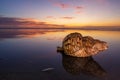 Large Sea Shell Sunset Royalty Free Stock Photo