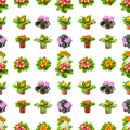 Large seamless pattern bright fresh violets isolated on white Royalty Free Stock Photo
