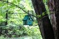 Large section of woods where members can decorate a fairies forest, Lily Dale Commune, New York, 2018