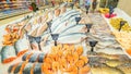 A large selection of fresh fish lying in the ice on the counter of the supermarket. Royalty Free Stock Photo