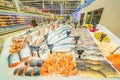 A large selection of fresh fish lying in the ice on the counter of the supermarket.