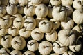 Large selection of White Pumpkins