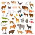 A large set of African, forest and animals and birds from the farm with the cubs. Bear, cow, elephant, lion. flat vector Royalty Free Stock Photo