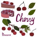 Large set of color images of ripe red cherry berries with leaves, cake, hand signature. Vector illustration isolated on white.