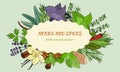 A large set of culinary spices and herbs Royalty Free Stock Photo