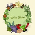 A large set of culinary spices and herbs Royalty Free Stock Photo