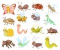 Large set of cute cartoon insects or bugs Royalty Free Stock Photo