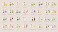 A large set of essential oil icons. Plants for aromatherapy. Royalty Free Stock Photo