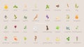 A large set of essential oil icons. Plants for aromatherapy.