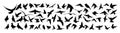 A large set of flying and standing birds. Vector illustration Royalty Free Stock Photo