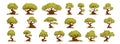 Large Set of forest trees of interesting and twisted shapes, bonsai and oaks, green forest tree of interesting shapes