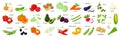 A large set of fresh vegetables, olives, corn, greens. Whole and half. collection of decorative cliparts for food design Royalty Free Stock Photo