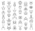 Large Set of Hand Drawn Top Down Cartoon Creatures and Monsters