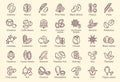 Large set of line drawn icons for nuts and seeds with names below