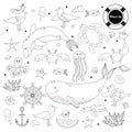 Large set of linear marine animals and plants. Underwater inhabitants - whale and dolphin, octopus and fish, starfish