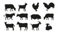 Large set of livestock silhouettes. Cow, bull, chicken, rooster, pig, goat. Royalty Free Stock Photo