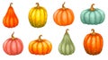 A large set of pumpkins of different shapes and colors