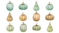 Large set of pumpkins of various shapes in pastel colors. Watercolor elements