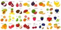 A large set of tropical, exotic, citrus fruits with names. Fruit and berry icons. Whole fruit, half cut and slices. Huge Royalty Free Stock Photo