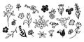 A large set with various flowers and twigs. Clip art in doodle style. Vector design for stickers and tattoos.