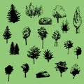 Large set of vector silhouettes of trees Royalty Free Stock Photo