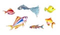 Large set of watercolor illustrations of small colorful fish
