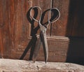 Large Antique Scissor. Vintage scissor Royalty Free Stock Photo