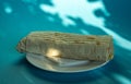 Large shawarma on a white plate with a napkin on a blue background with shadows. Food, healthy fast food, delicious to