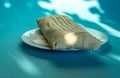 Large shawarma on a white plate with a napkin on a blue background with shadows. Food, healthy fast food, delicious to