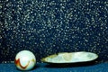 A large shell, mother of pearl, and a light marble in front of a blue and golden background, shimmering like stars in the universe