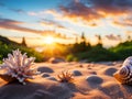 large shells and corals close-up on the shore of a sunny beach Royalty Free Stock Photo