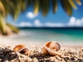 large shells and corals close-up on the shore of a sunny beach