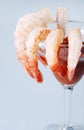 Large shrimp cocktail with seafood sauce