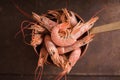 Large shrimps in a saucepan on a metallic background Royalty Free Stock Photo