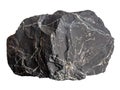 Large shungite with pyrite streaks